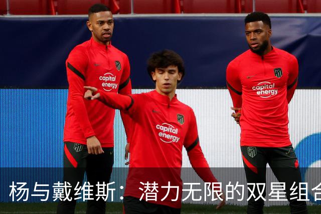 杨与戴维斯：潜力无限的双星组合